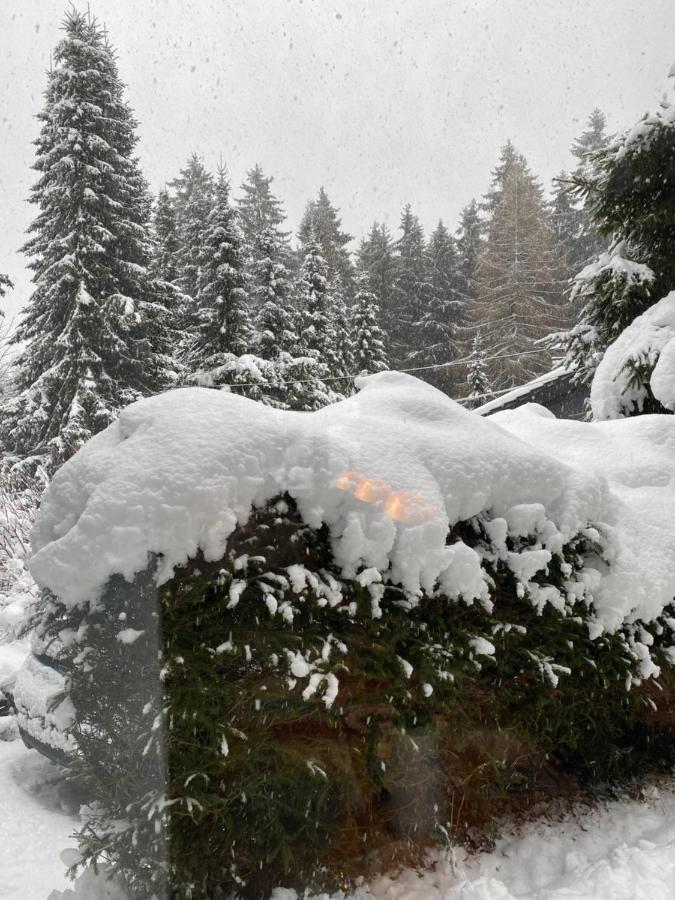 Schoenwald Waldchalet Am Musenberg Stryck Екстер'єр фото