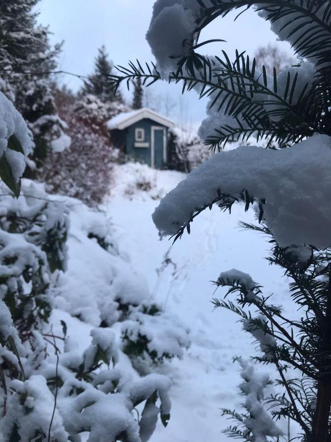 Schoenwald Waldchalet Am Musenberg Stryck Екстер'єр фото