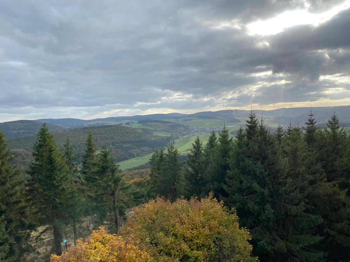 Schoenwald Waldchalet Am Musenberg Stryck Екстер'єр фото